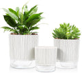 Self Watering Pots for Indoor Plants, 6 & 5 & 4 Inch Stylish Flower Pots by Etvski