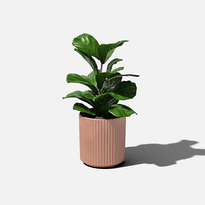 Veradek Demi Series Round Planter - Image 8