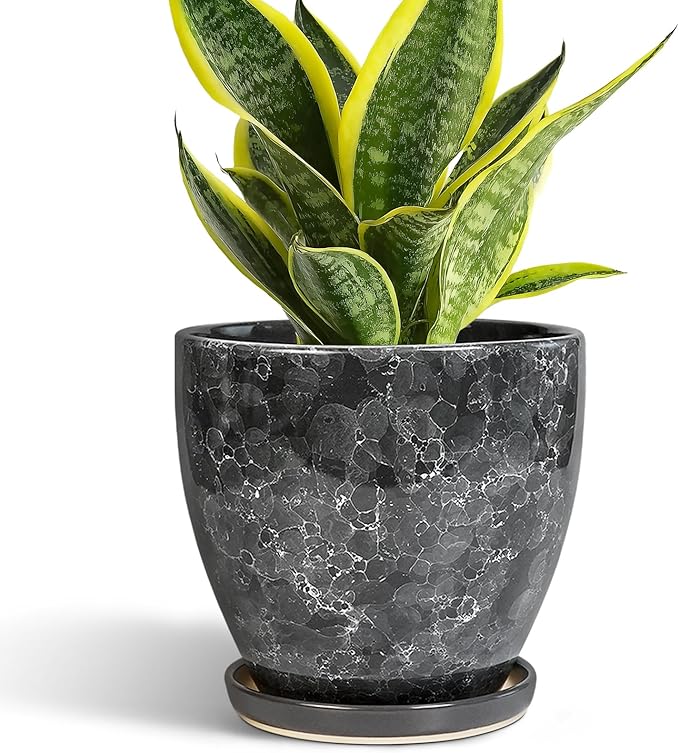 Ceramic Pots for Plants by EPFamily