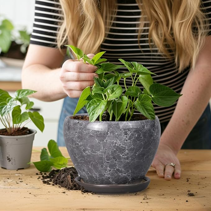 Ceramic Planter - Image 7