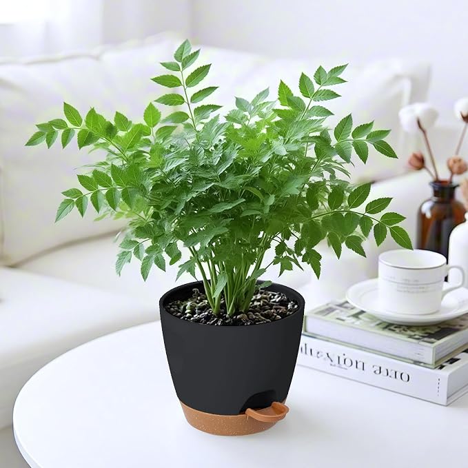 5-Pack Plant Pots with Drainage - Image 6