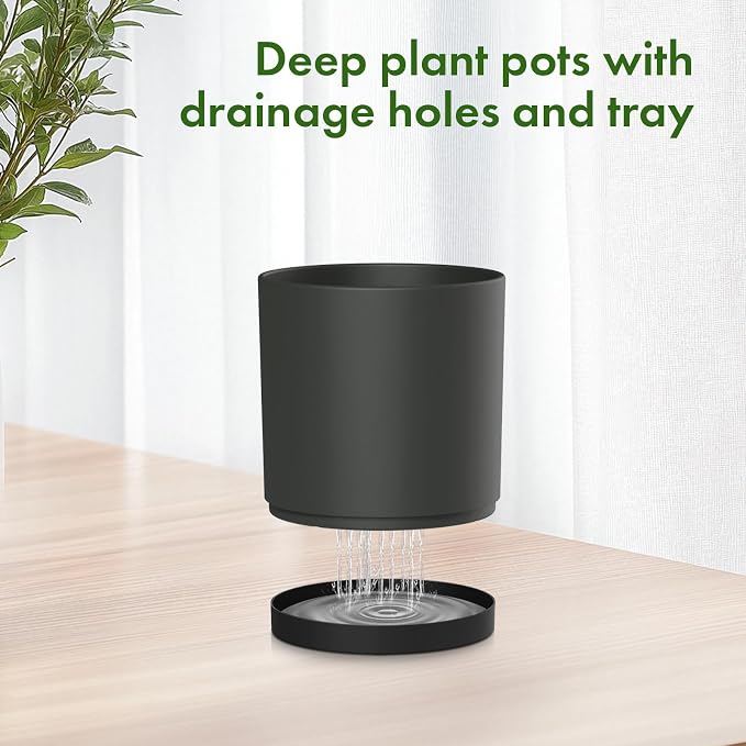 10/8/6 inch Large Deep Plant Pots - Image 4
