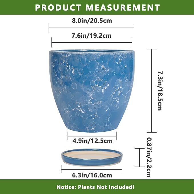 8 Inch Plant Pot - Image 3