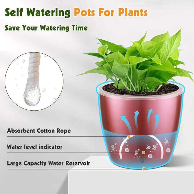 Self Watering Pots for Indoor Plants, Small African Violet Pots - Image 4