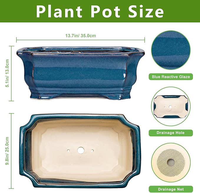 Bonsai Tree Pot - Image 2