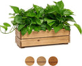 Wooden Planter Box, Storage Box 17”L x6”W x5.5”H by THYOI
