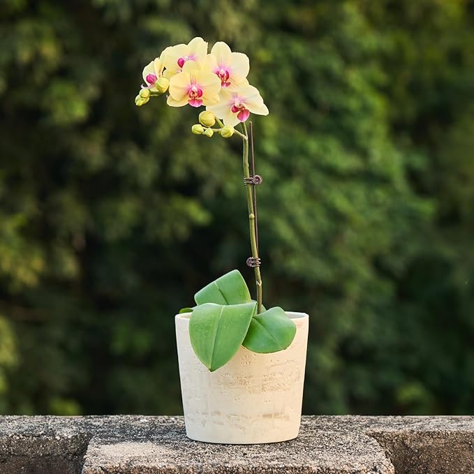 Ekirlin 7 Inch Natural Travertine Textures Plant Pot, Resin Outdoor Planter - Image 5