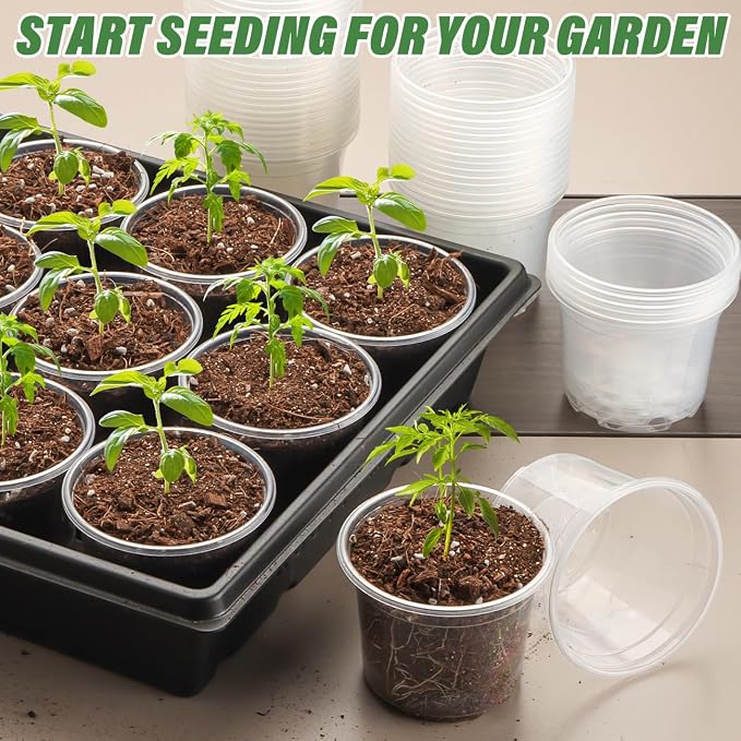 Clear Seedling pots 100-Pack 3.2 Inches Round - Image 7