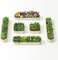 6-Pack 18” Tall Galvanized Raised Garden Beds – New Home Garden Layout by Annoell