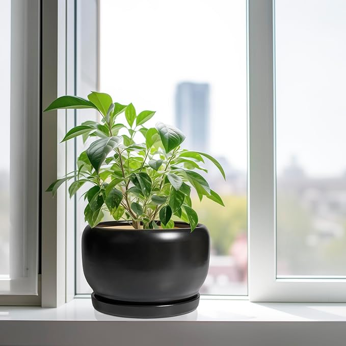 SQOWL Ceramic Flower Pot - Image 4