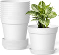 10 Pack 6 Inch Plant Pots with Drainage and Saucers, Stackable Nursery Planters by SwinDuck