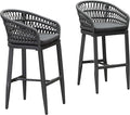 PURPLE LEAF Outdoor Rattan 29" Bar Stools Set of 2, Modern Boho Aluminum Patio by PURPLELEAF