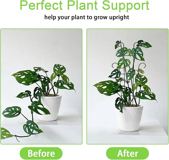 4P Plant Trellis for Potted Plants, Larger 23in Garden Trellis for Climbing - Image 3