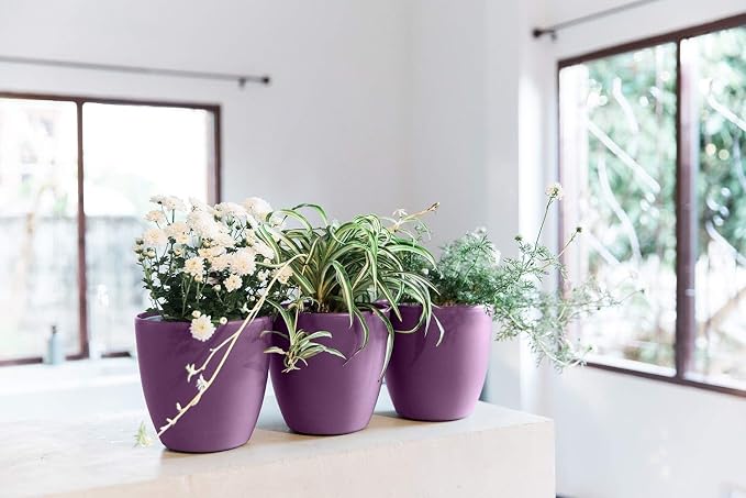 GARDENIX DECOR Self Watering Pots - Image 7