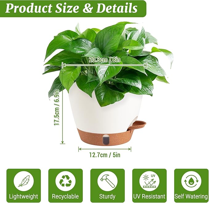 2 Pack 8 Inch Pots for Plants Indoor, Plastic Self Watering Planters - Image 3