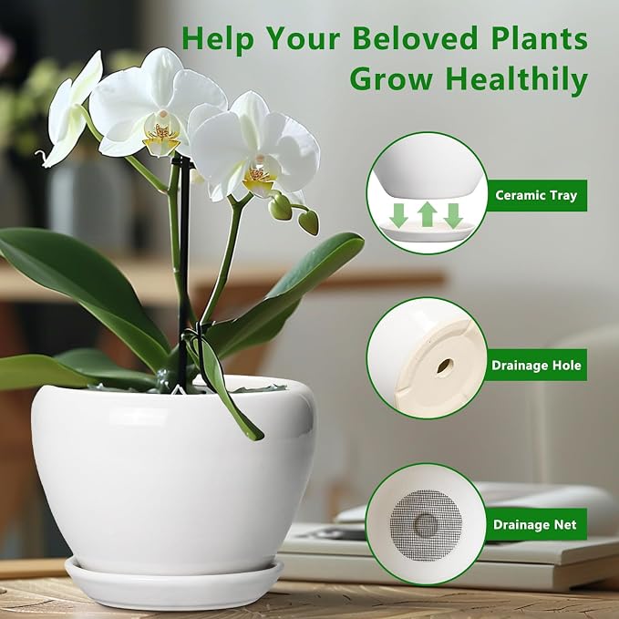 Ceramic Pot for Plants - Image 6