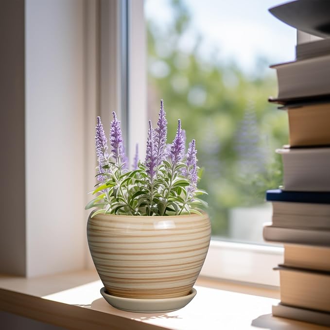 6 Inch Plant Pot Ceramic - Image 2