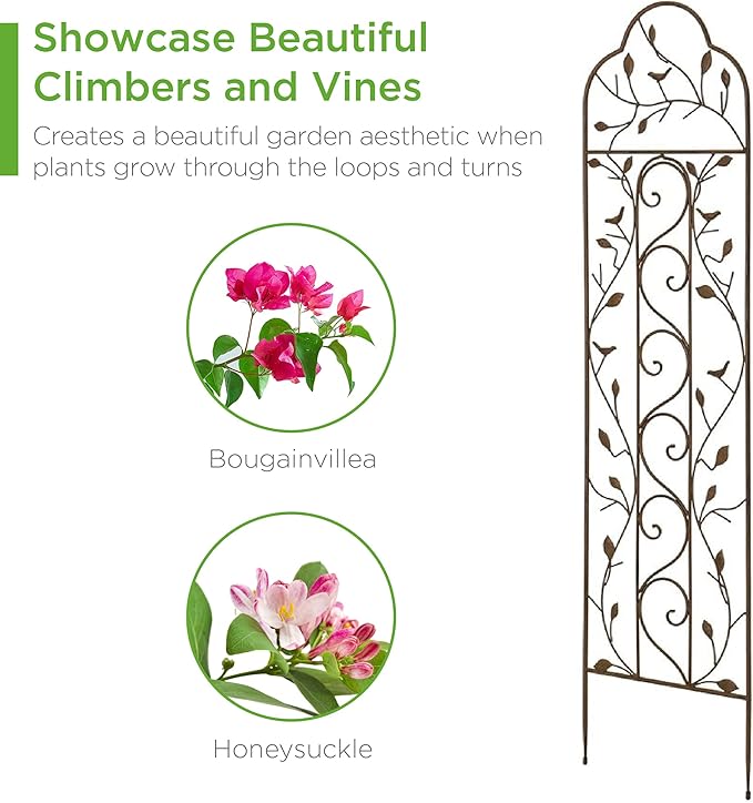 Best Choice Products 60x15in Iron Garden Trellis, Arched Outdoor Decoration - Image 4
