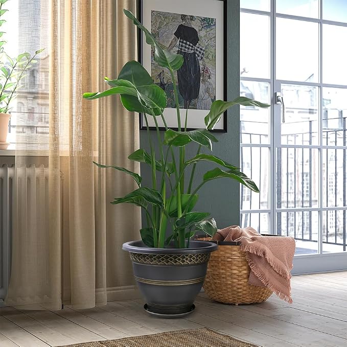 6 Pack 8 Inch Plant Pots, Plastic Flower Pot - Image 7