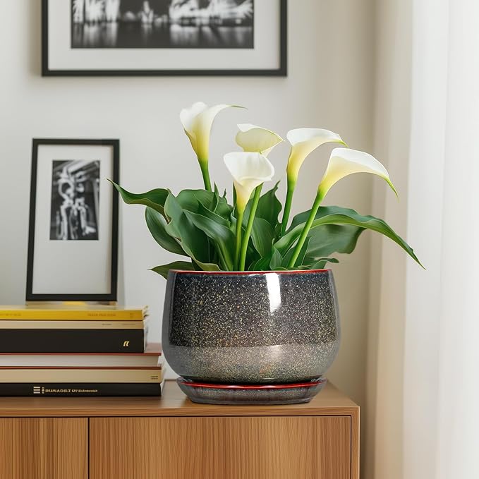 G EPGardening Ceramic Planters - Image 7