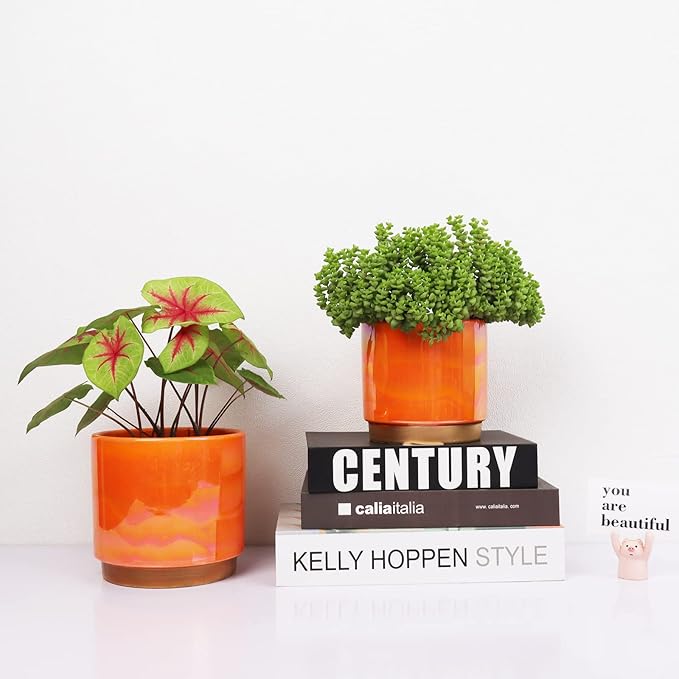 Gepege Ceramic Indoor Pots for Plants, Rainbow Pearl Glaze Planter - Image 5