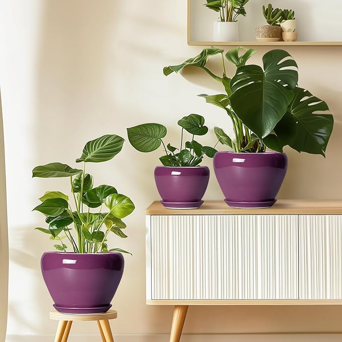 Ceramic Planter - Image 8