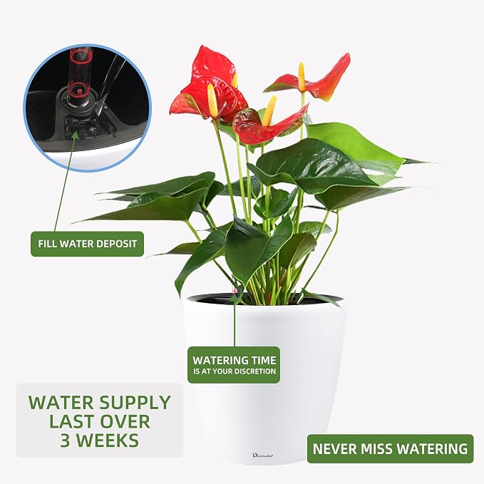 Dexceder 15x14 Self Watering Planter - Image 5