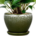 6 Inch Plant Pot by Ceramicfor