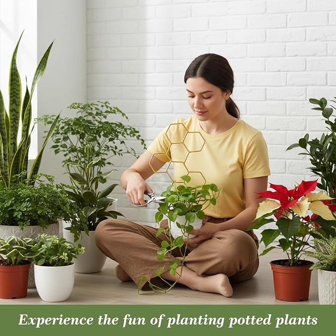 Small Trellis for Potted Plants, 14 Inch Indoor Trellis for Climbing Plants - Image 5