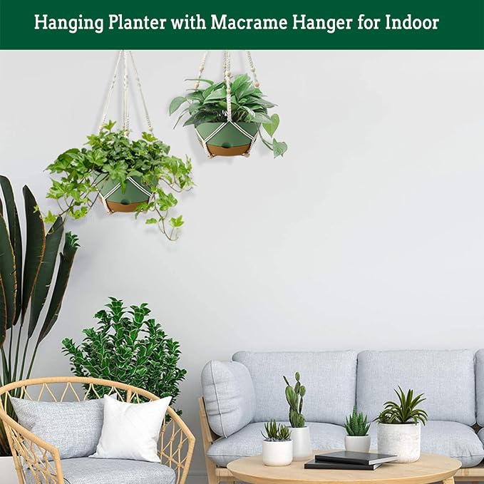 Hanging Planter Self Watering 10 Inch, 2 Pack Indoor Outdoor Hanging Baskets - Image 5