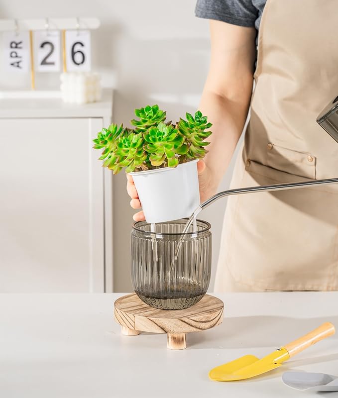 Melphoe Self Watering Pots for Indoor Plants Planter, 4.3 Inch 2 Pack Planters - Image 5