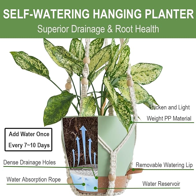 Larege Hanging Planters with Macrame Plant Hangers - Image 4