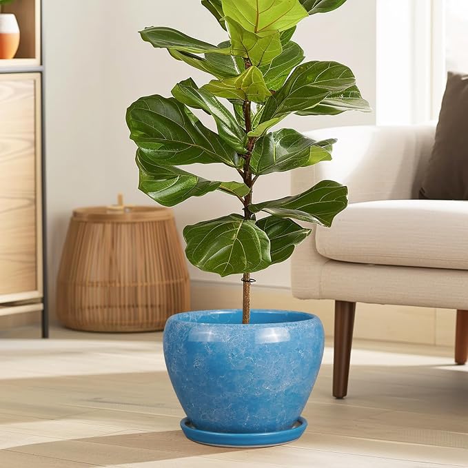 Ceramic Planter - Image 4