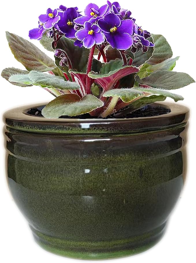 African Violet Pots Self Watering Round Ceramic Violet Pot by Dphagesy