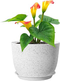 Plant Pots 12 inch, Plastic Planters by Meowell
