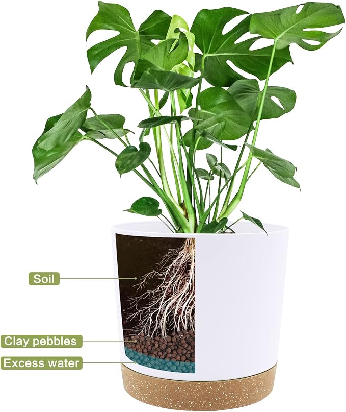 QCQHDU 12 inch Plant Pot, 2 Pack Planters - Image 4