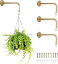 Ilyapa 4 Pack Metal Plant Wall Hanger Hooks - 7 in. Hook by Ilyapa