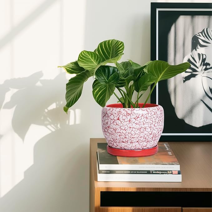SQOWL 6 Inch Plant Pot - Image 6