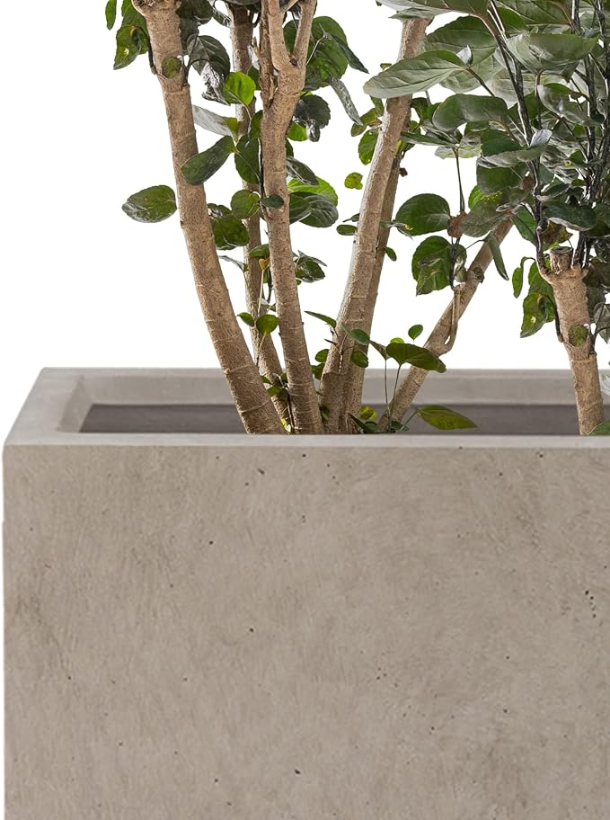 Kante 18.5", 12.6" H Tall Rectangular Concrete Planters Set of 3, Outdoor - Image 3