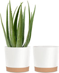 kubvici Plant Pots for Indoor Plants, 2 Pack 10 Inch Plant Pot Plastic Flower by kubvici