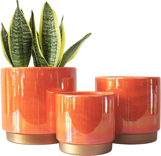 Gepege Ceramic Indoor Pots for Plants, Rainbow Pearl Glaze Planter by Gepege