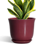 Ceramic Planter by SUNPOTFOR