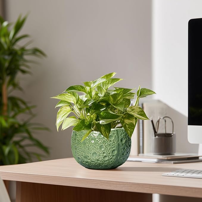 6 Inch Plant Pot - Image 7