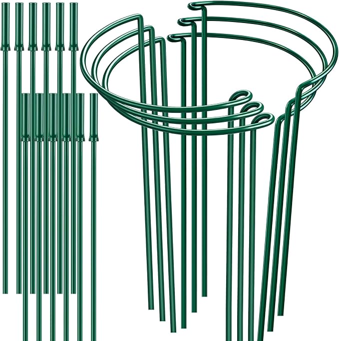 6 Pack 32 or 16 inch Adjustable Plant Support Stakes, Heavy-Duty Half Round by HiGift