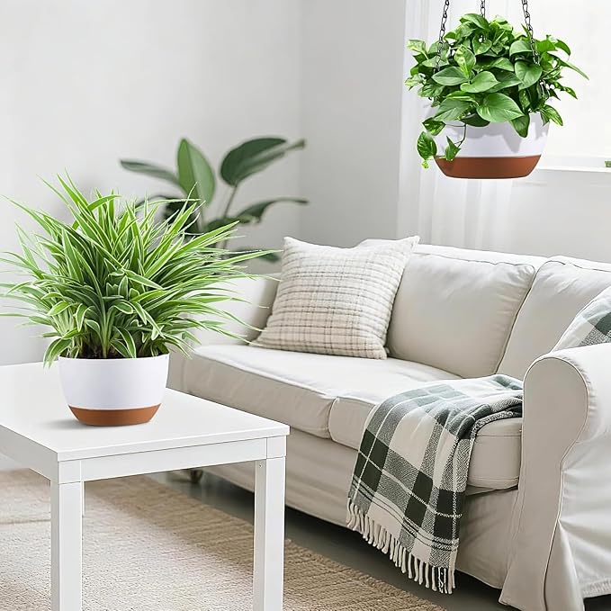 Hanging Planters for Indoor Plants - Image 4
