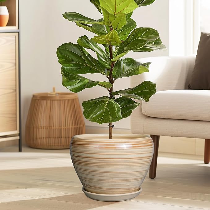 Ceramic Pot for Plant 10 Inch - Image 2