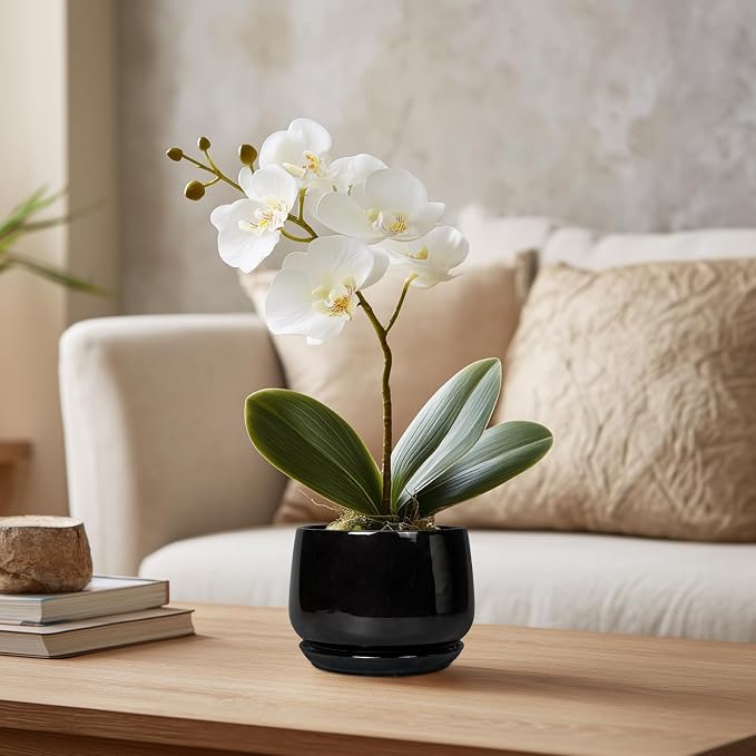 G EPGardening Small Ceramic Planter - Image 5