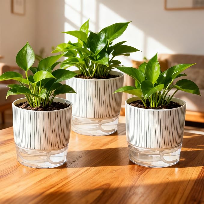 3 Pack Self Watering Pots Set, 5.5 Inch Self Watering Pots - Image 5