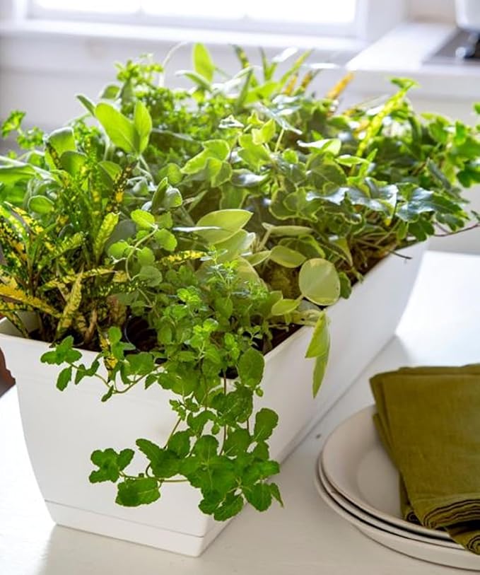 The HC Companies 30 Inch Eclipse Window Planter Box - Image 4