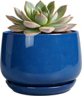 G EPGardening 6 Inch Plant Pot by GEPGardening